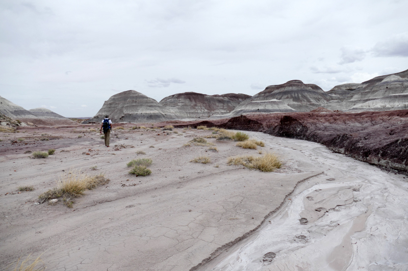 Red Basin Clam Beds [Petrified Forest National Park]