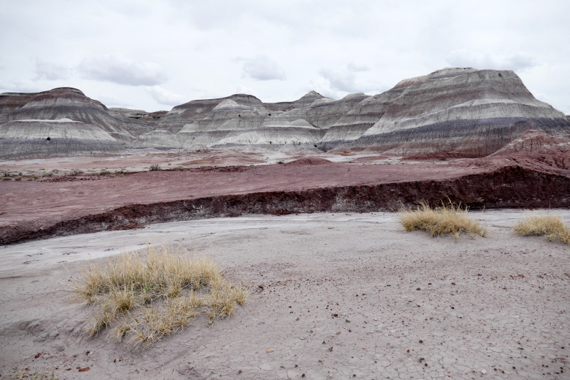 Red Basin Clam Beds [Petrified Forest National Park]