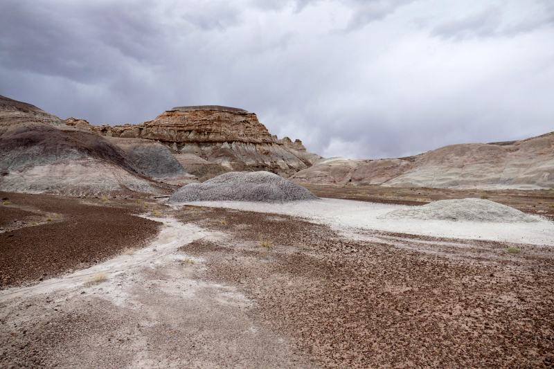 Red Basin Clam Beds [Petrified Forest National Park]