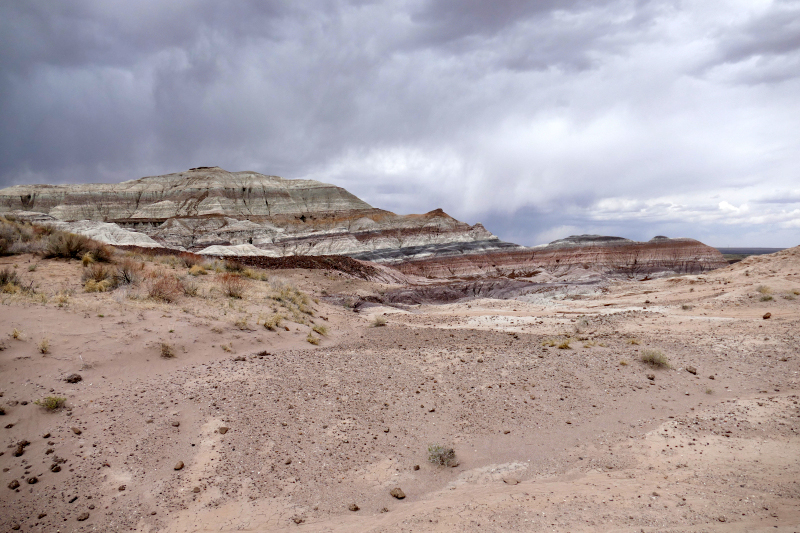 Red Basin Clam Beds [Petrified Forest National Park]