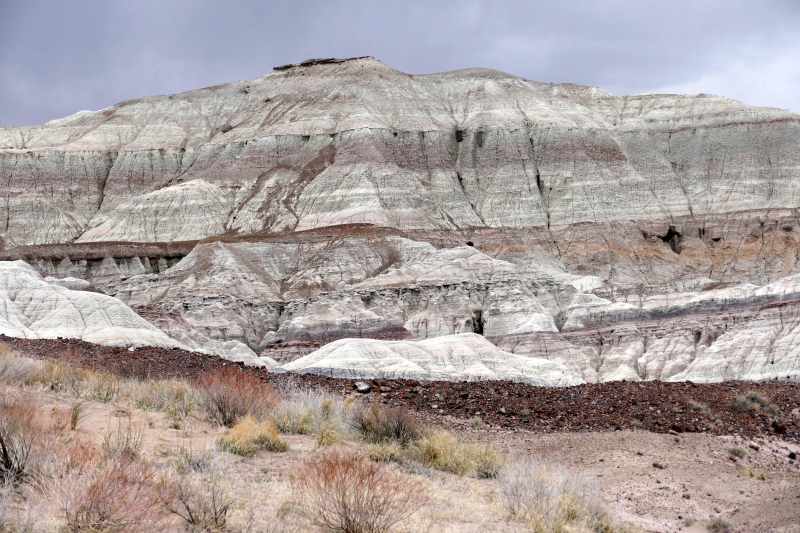 Red Basin Clam Beds [Petrified Forest National Park]