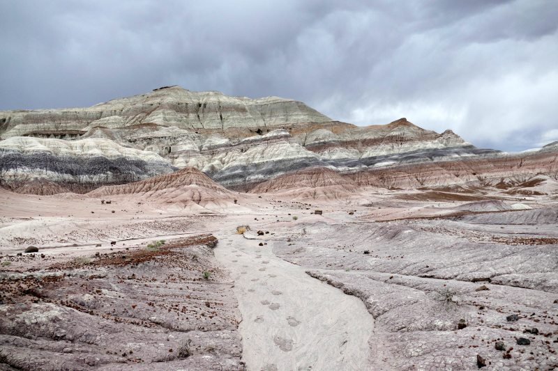 Red Basin Clam Beds [Petrified Forest National Park]