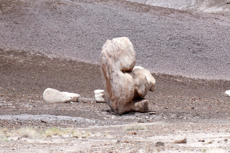 Red Basin Clam Beds [Petrified Forest National Park]