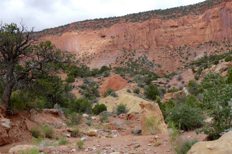 Red Canyon Hiking Route [Capitol Reef National Park]