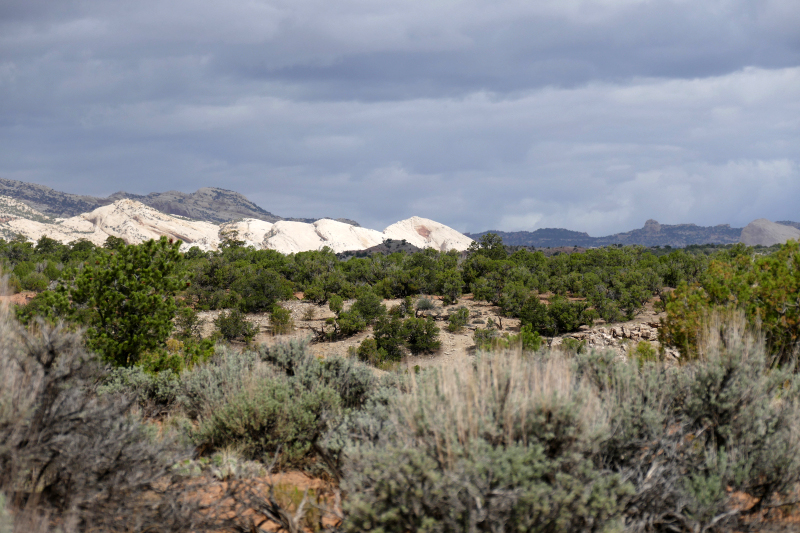 Red Canyon Hiking Route [Capitol Reef National Park]