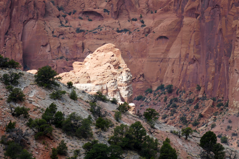 Red Canyon Hiking Route [Capitol Reef National Park]