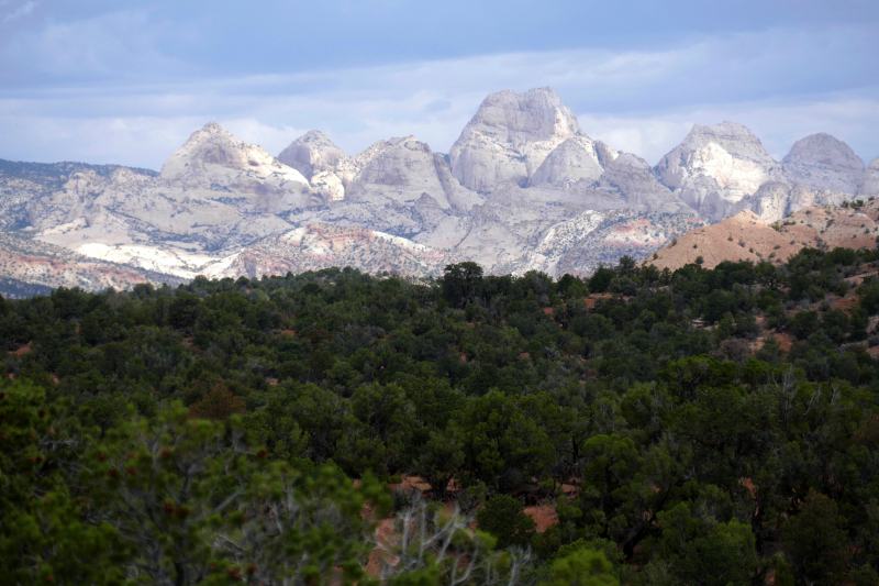 Red Canyon Hiking Route [Capitol Reef National Park]