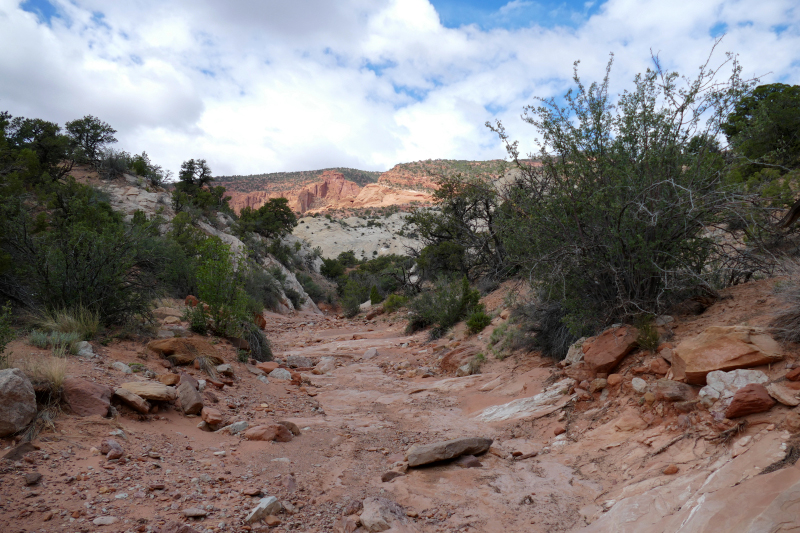 Red Canyon Hiking Route [Capitol Reef National Park]
