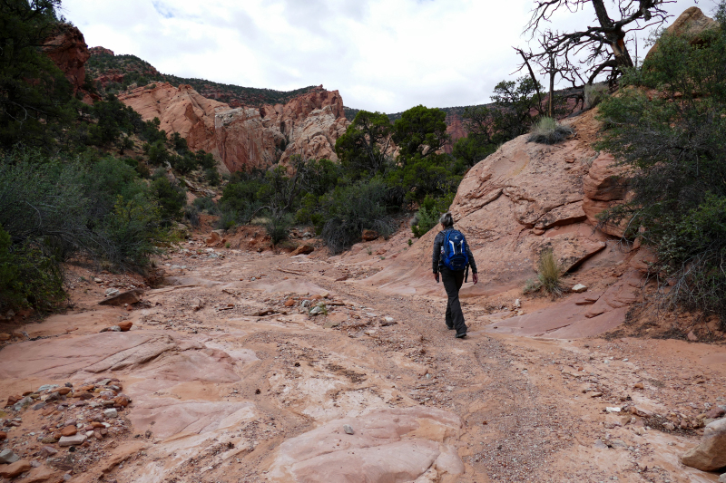 Red Canyon Hiking Route [Capitol Reef National Park]