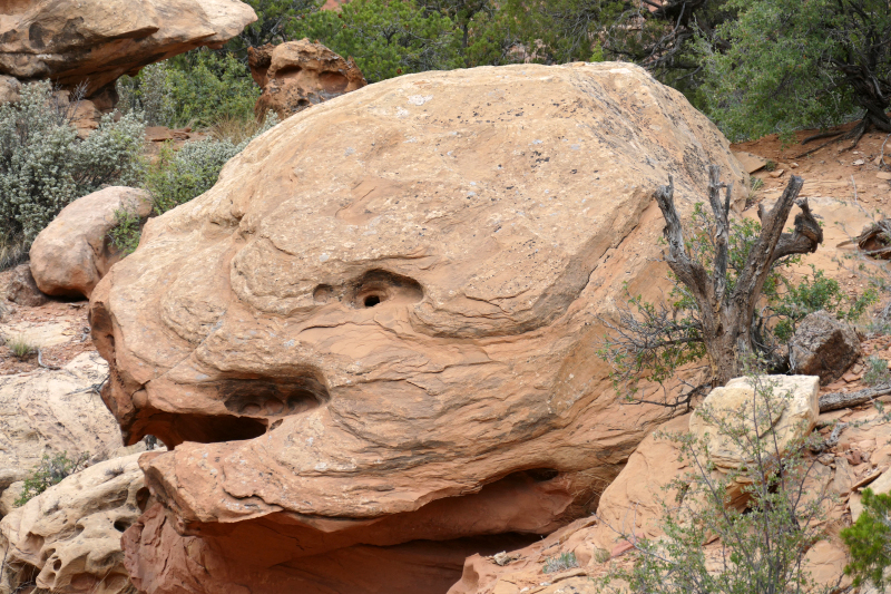 Red Canyon Hiking Route [Capitol Reef National Park]