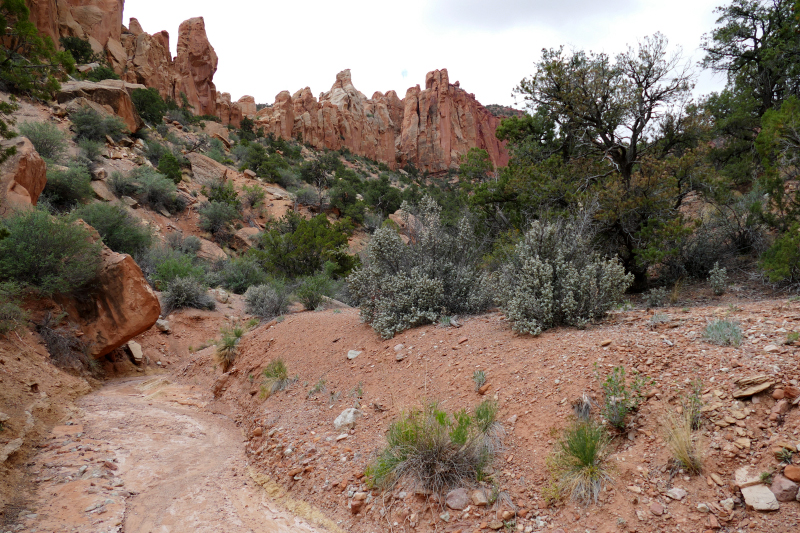 Red Canyon Hiking Route [Capitol Reef National Park]