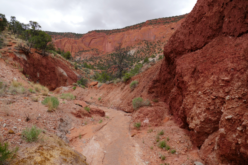 Red Canyon Hiking Route [Capitol Reef National Park]