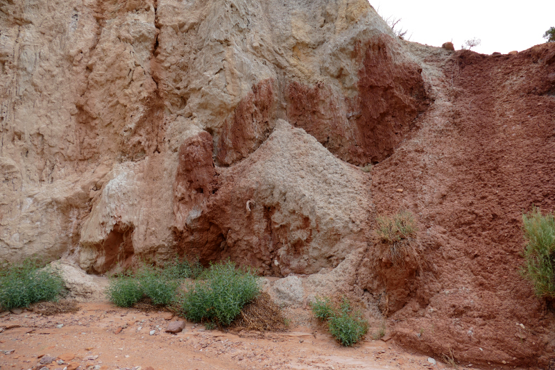 Red Canyon Hiking Route [Capitol Reef National Park]