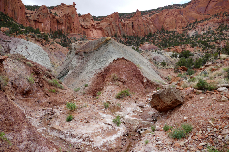 Red Canyon Hiking Route [Capitol Reef National Park]