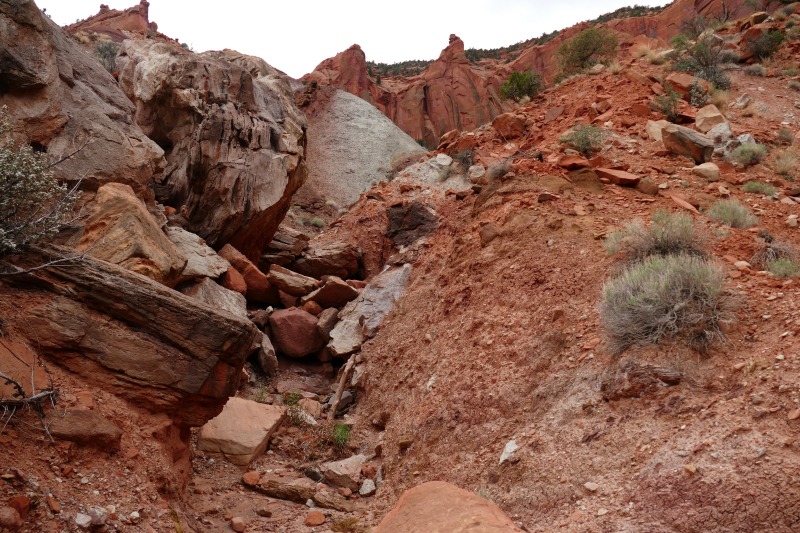Red Canyon Hiking Route [Capitol Reef National Park]
