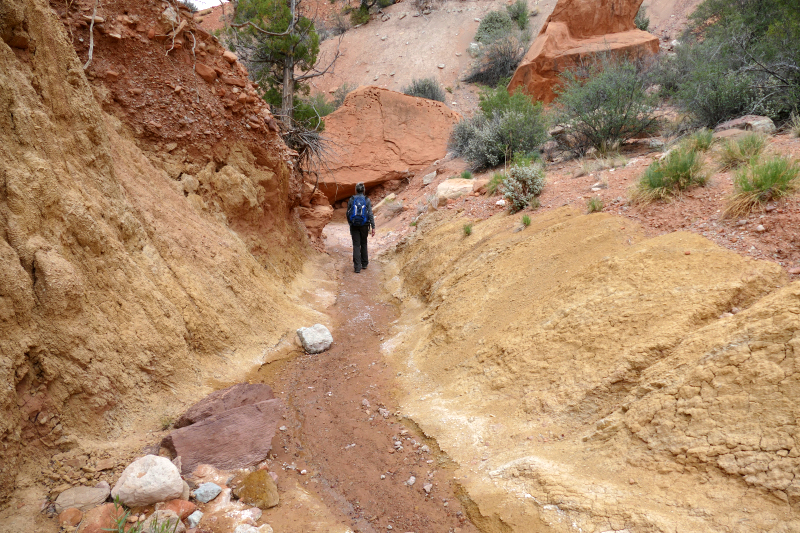 Red Canyon Hiking Route [Capitol Reef National Park]