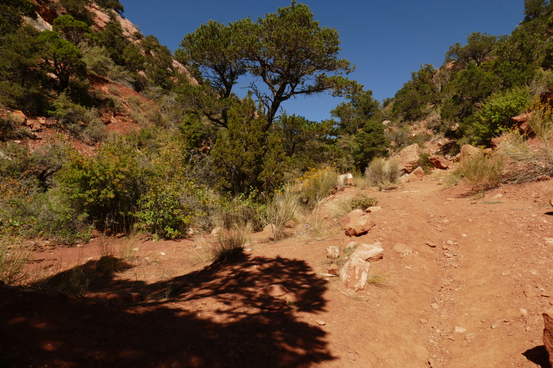 Red Hollow [Hurricane Cliffs]