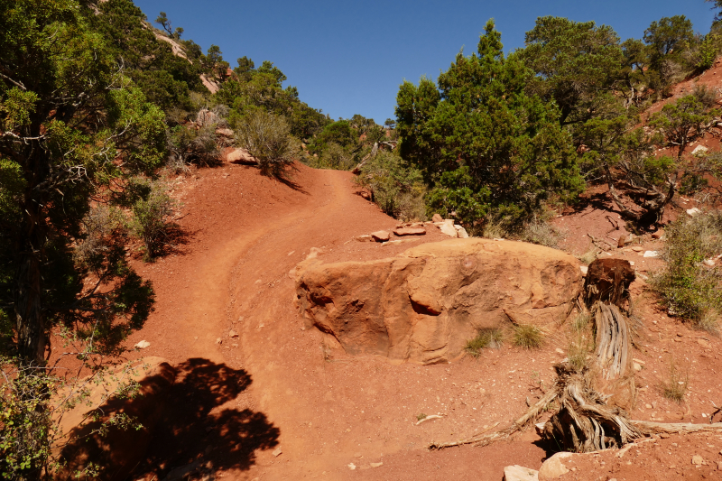 Red Hollow [Hurricane Cliffs]