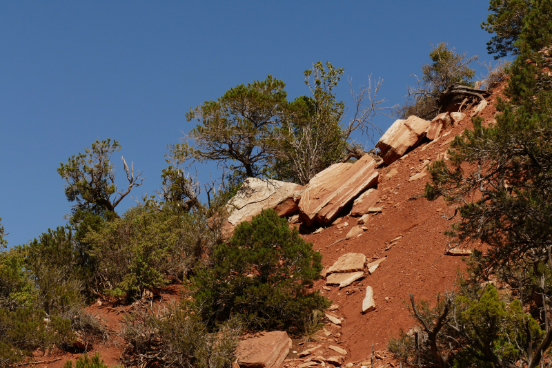 Red Hollow [Hurricane Cliffs]