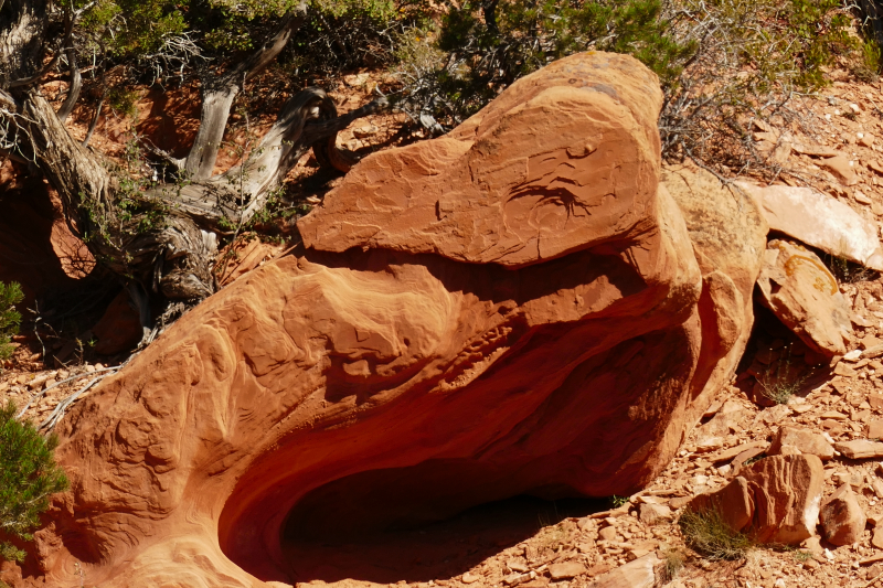 Red Hollow [Hurricane Cliffs]