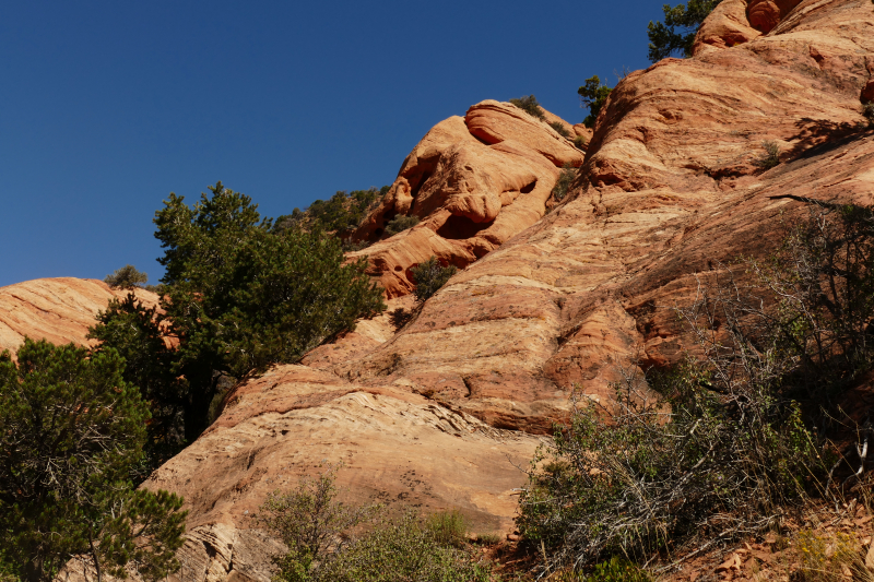 Red Hollow [Hurricane Cliffs]