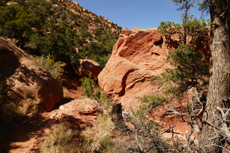 Red Hollow [Hurricane Cliffs]