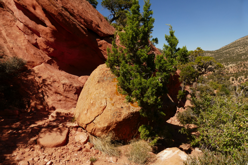 Red Hollow [Hurricane Cliffs]