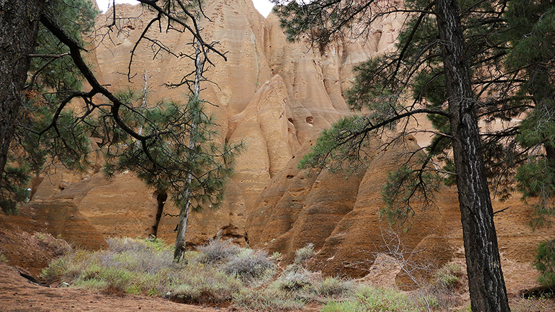 Red Mountain [Coconino National Forest]