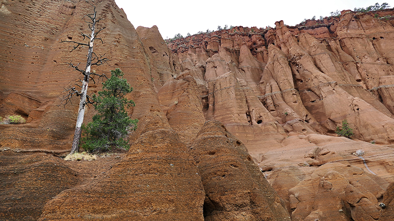 Red Mountain [Coconino National Forest]