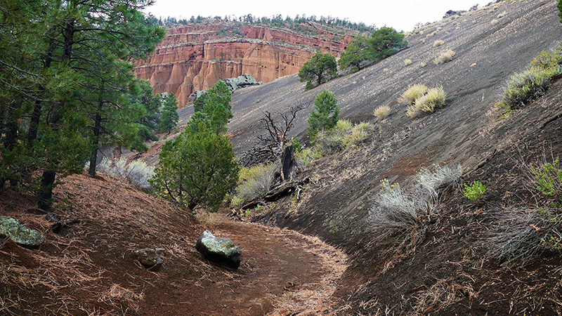 Red Mountain [Coconino National Forest]