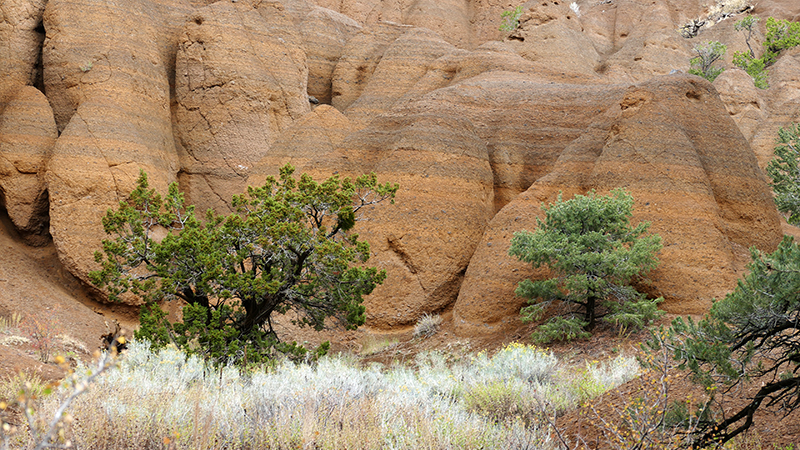 Red Mountain [Coconino National Forest]