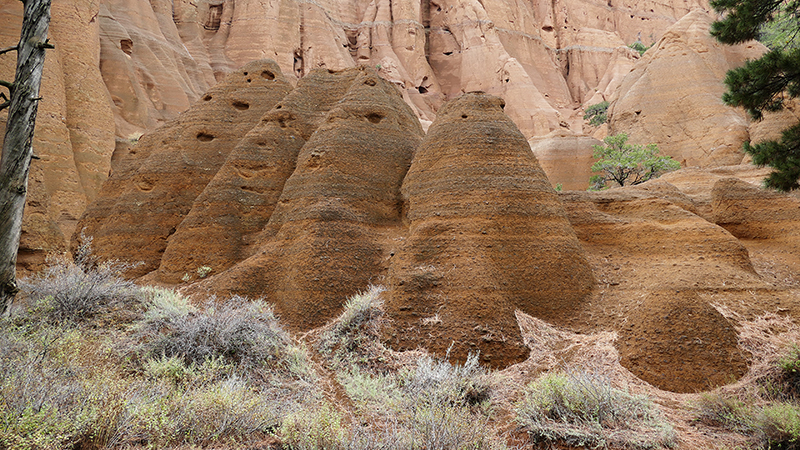 Red Mountain [Coconino National Forest]