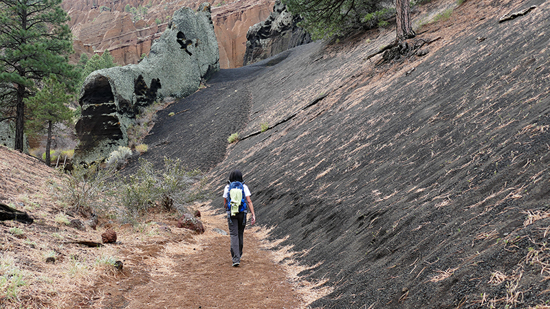 Red Mountain [Coconino National Forest]