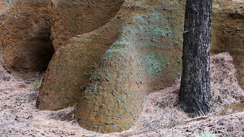 Red Mountain [Coconino National Forest]