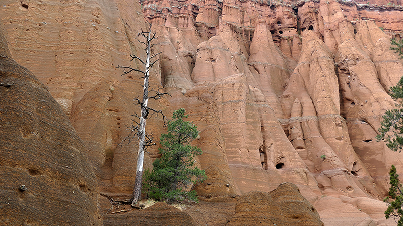 Red Mountain [Coconino National Forest]