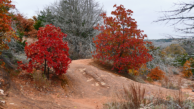 USA Hiking Database: Bilder der Wanderung - Pictures of the hike