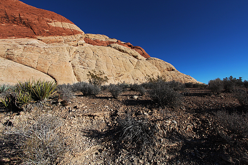 Red Rock Canyon Las Vegas