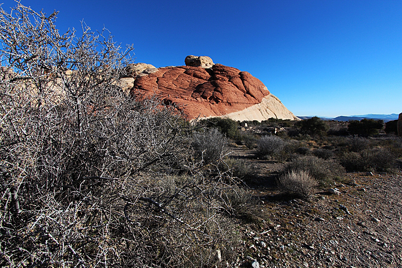 Red Rock Canyon Las Vegas