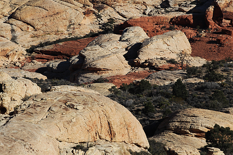 Red Rock Canyon Las Vegas