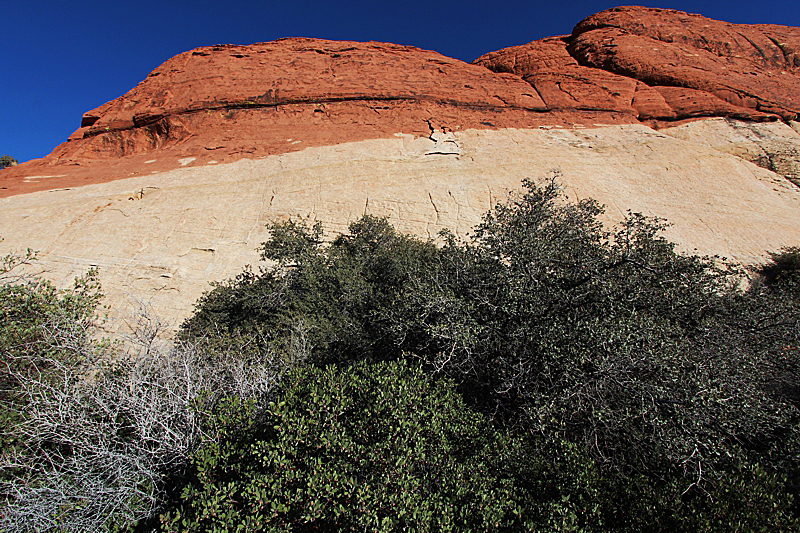 Red Rock Canyon Las Vegas