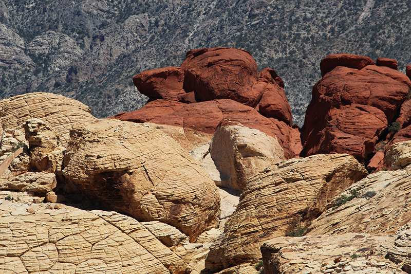 Red Rock Canyon Las Vegas