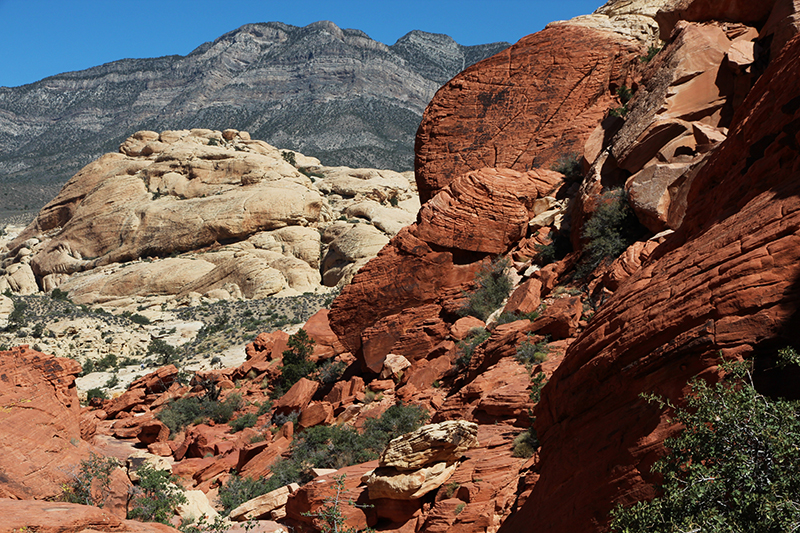 Red Rock Canyon Las Vegas