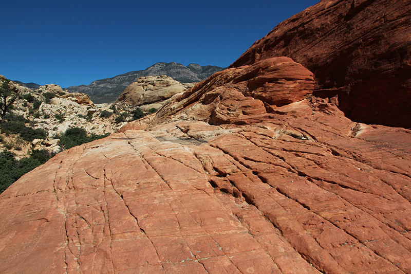 Red Rock Canyon Las Vegas