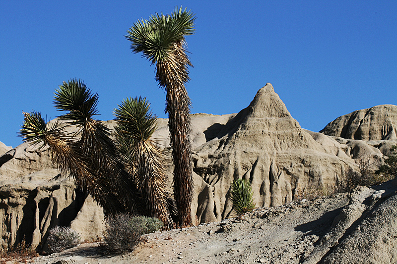 Red Rock Canyon State Park California Kalifornien