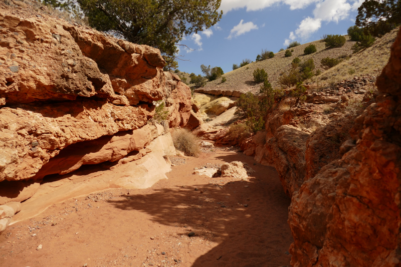 Red Wash Petrogylph Rock Loop [Carson National Forest]