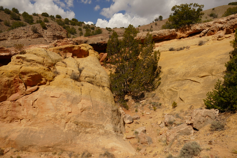 Red Wash Petrogylph Rock Loop [Carson National Forest]