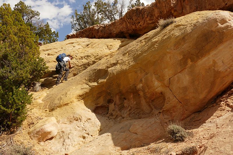 Red Wash Petrogylph Rock Loop [Carson National Forest]