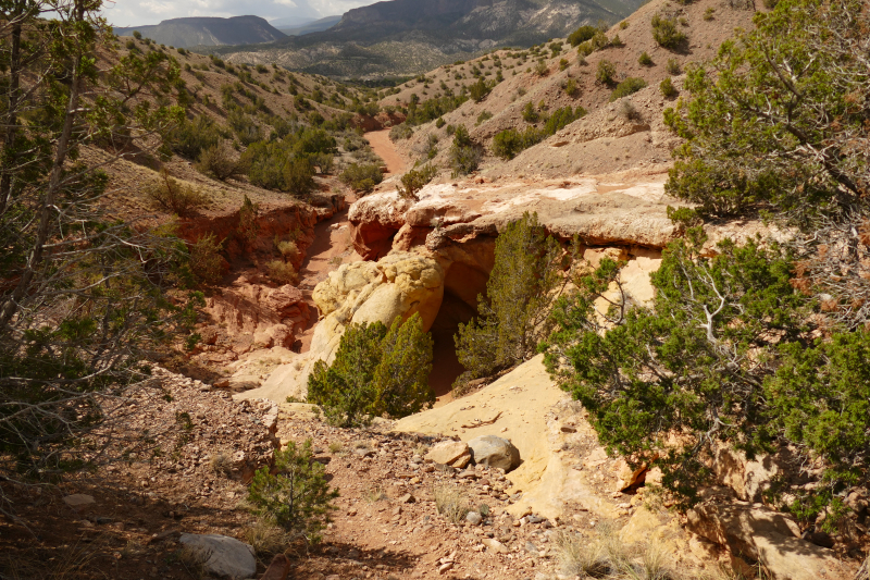 USA Hiking Database: Bilder Red Wash Petrogylph Rock Loop [Carson National Forest] - Pictures Red Wash Petrogylph Rock Loop [Carson National Forest]