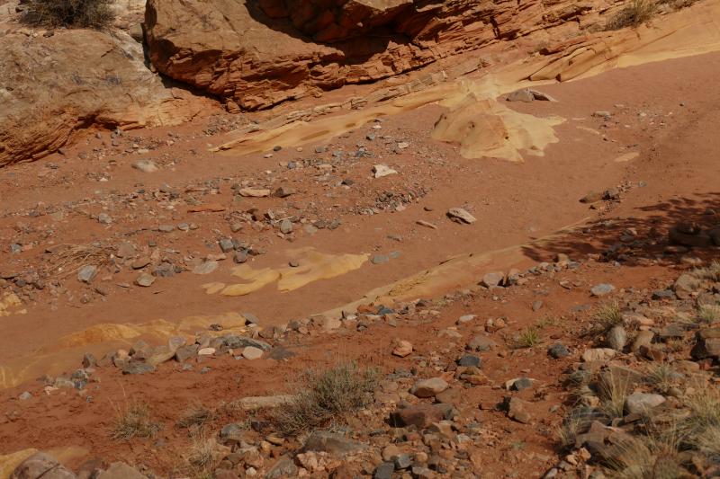 Red Wash Petrogylph Rock Loop [Carson National Forest]