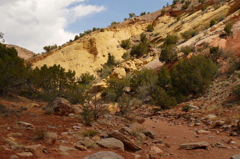 Red Wash Petrogylph Rock Loop [Carson National Forest]